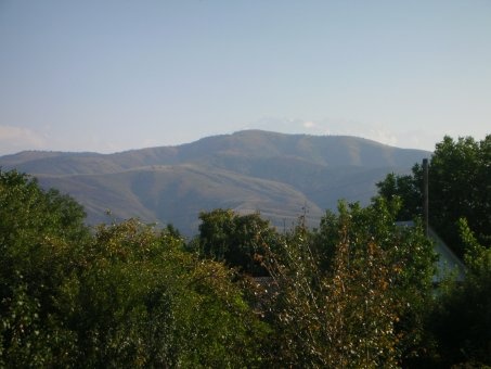 Продам дачу в Иссыкском р-не СНТ 