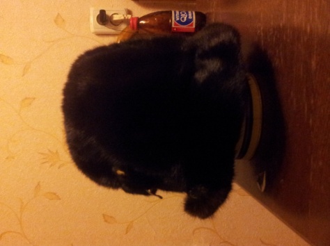 Продам норковую шапку, фотография 5