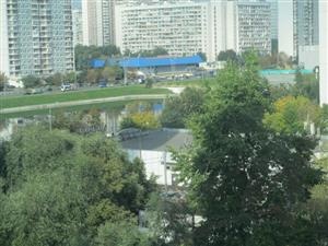 Продам платье, фотография 1