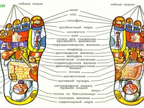 предлагаем аппарат - сцэк, фотография 3