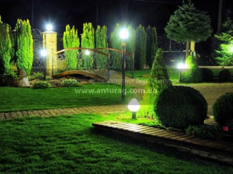 Курсы садовников, ландшафтных дизайнеров, фотография 8