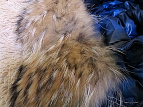 Аляска Пуховик, фотография 4