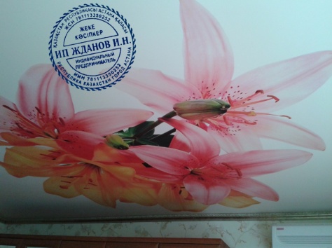 Бесшовные натяжные потолки., фотография 13