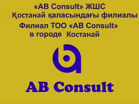 Бухгалтерские услуги, регистрация ТОО в Костанае, фотография 2