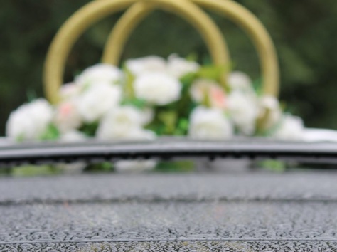 фотосьемка, фотография 1