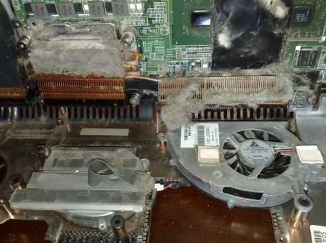 Прочистка (профилактика) ноутбуков, нетбуков и моноблоков., фотография 3