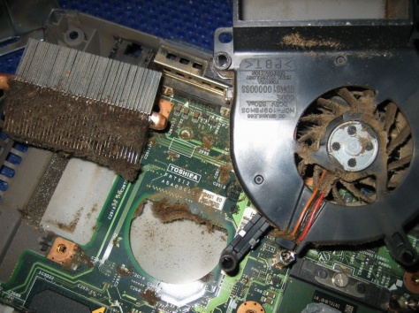 Прочистка (профилактика) ноутбуков, нетбуков и моноблоков., фотография 4