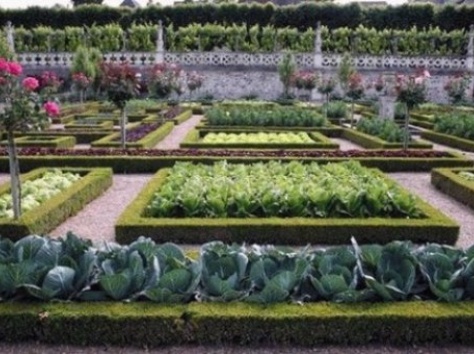 ландшафтный дизайн -от проекта до ухода, фотография 14