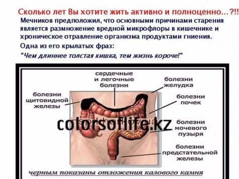 Купить Баобаб Лайф в Астане Снижение Веса, фотография 6