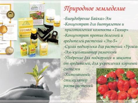 Арго для всей семьи, фотография 7