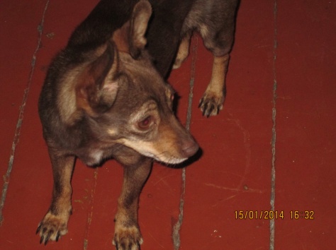 вязка, фотография 1