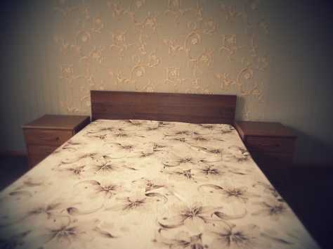 Квартира посуточно и по часам, фотография 2