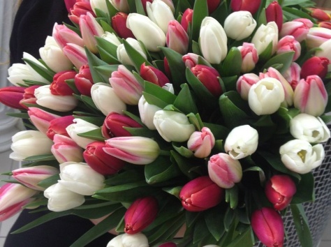 Тюльпаны доставка по Алматы, фотография 1