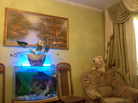 Сдам в аренду квартиру, 8 мкр. д.19, фотография 12