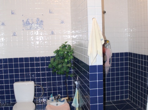 продам коттедж г.Уральск, фотография 6