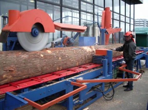 Ленточная пилорама, многопильный станок, фрезерно брусующий станок, циркулярка, четырехсторонний станок, фотография 1