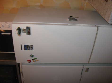 продаю холодильник Samsung, фотография 1