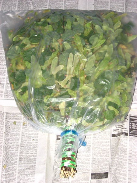 Дрова,банные веники,щепа фруктовых деревьев для коптильни., фотография 3