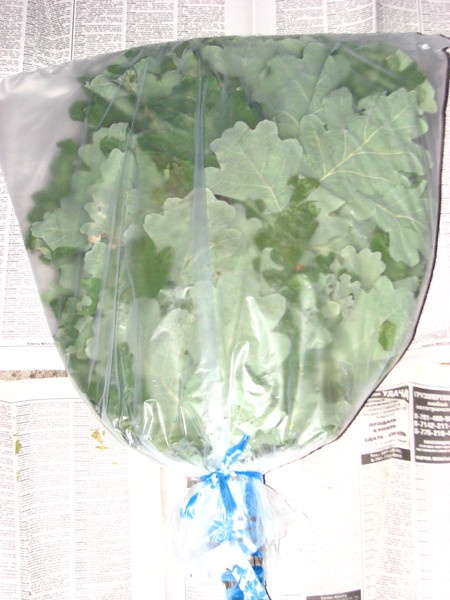 Дрова,банные веники,щепа фруктовых деревьев для коптильни., фотография 5