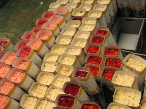 Букеты и композиции по приемлимым ценам, фотография 3