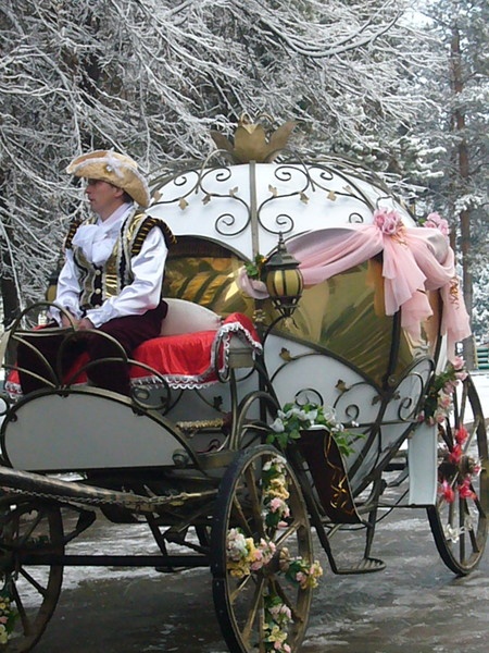 кареты, фотография 6