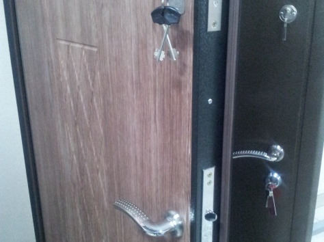 Металлические, утепленные двери. , фотография 4