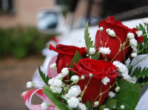 Фото, видеосъемка, фотография 2