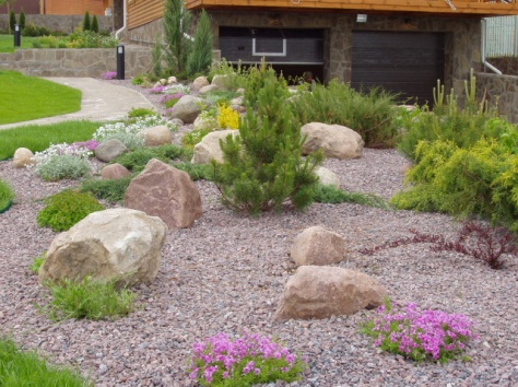 Озеленение. Услуги садовника., фотография 2