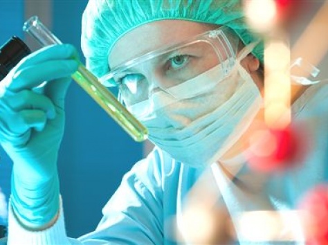 Установление отцовства, фотография 1