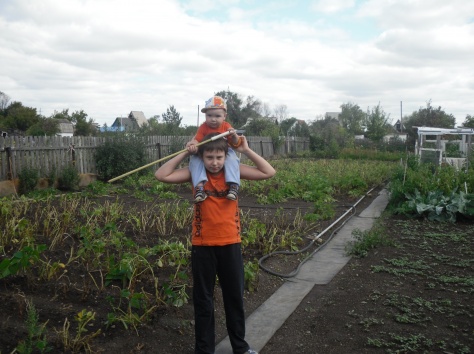 продаю дачу, фотография 3