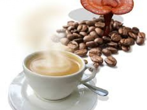 Открытие! Ганодерма (Рейши) ― в чашке кофе., фотография 1