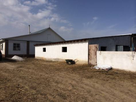 Продам Крестьянское хозяйство, фотография 1