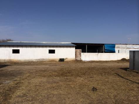 Продам Крестьянское хозяйство, фотография 2