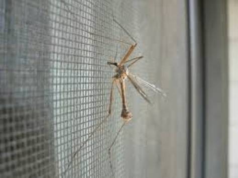 Москитные сетки, фотография 1