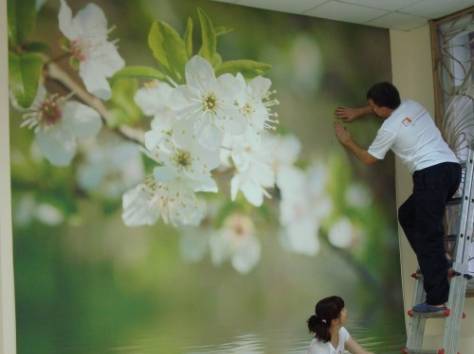 Фотообои Алматы, фотография 1