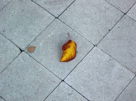 Брусчатка, фотография 3