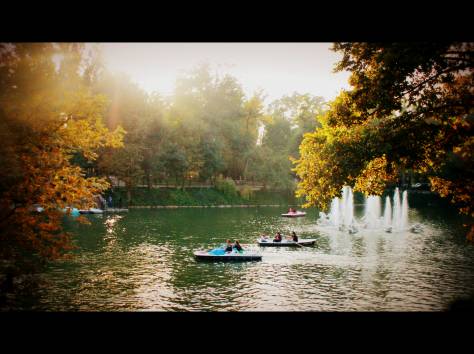 Фотограф , фотография 2