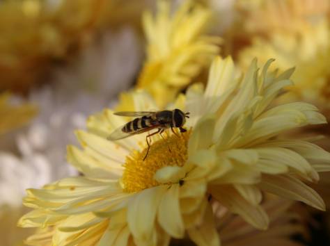 Фотоаппарат Canon 650D, фотография 6