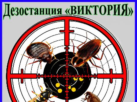 Дезостанция «ВИКТОРИЯ», уничтожение насекомых (дезинсекция) в Алматы., фотография 1