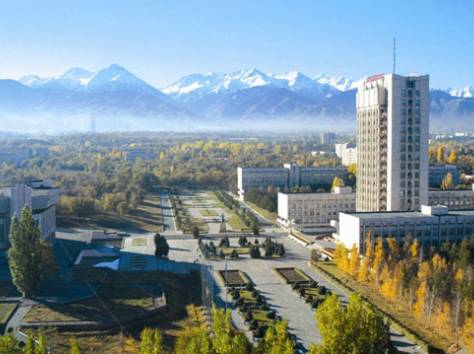 Бесплатная юридическая консультация, фотография 1