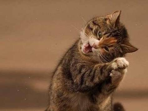 продам 4к.кв., фотография 1