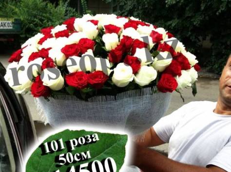 101 роза, доставка бесплатная, фотография 1