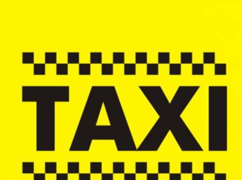 Отвезем, перевезем от муровья до бегемота, фотография 1