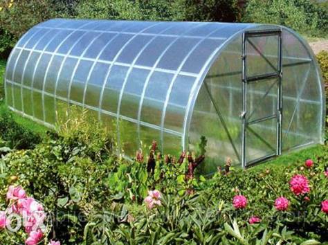 Теплицы в Караганде, фотография 2