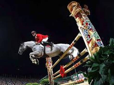 Обучение верховой езде, фотография 1