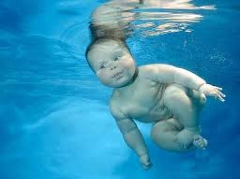 Уроки Плавания, фотография 1