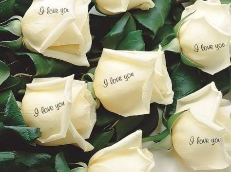 Надпись на цветах, рисунок на розе, печать фото на розах, фотография 1