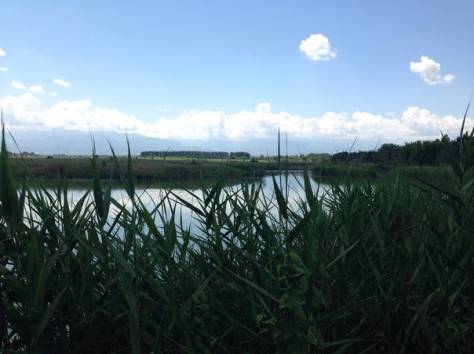 Рыбалка, фотография 5