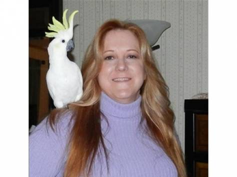 великолепный какаду нужен новый дом., фотография 1