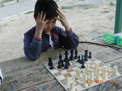 Шахматная школа 